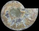 Agatized Ammonite Fossil (Half) #68824-1